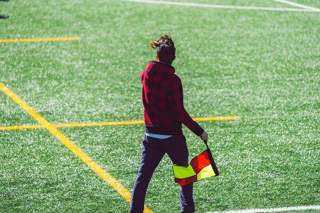 这两大新兴 这两大新兴