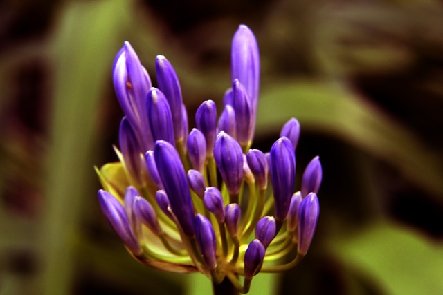 南方阴雨连连局地有大雨 我国大部气温将降至近期低点.