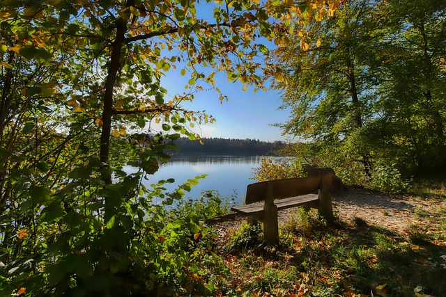 這場比賽 這場比賽