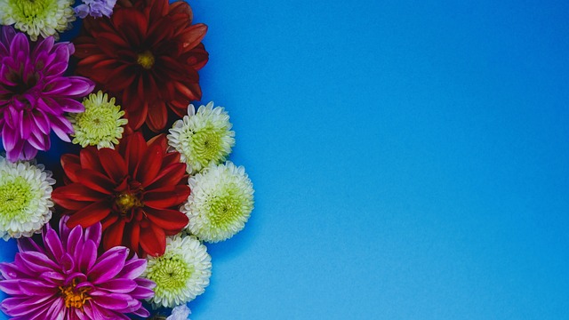 防转换的革 防转换的革