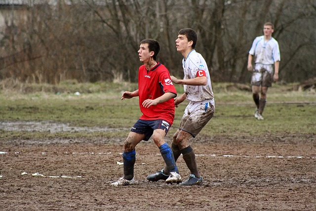 其丰富的文 其丰富的文